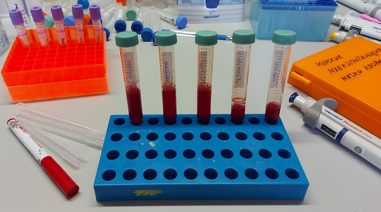 Seal blood samples