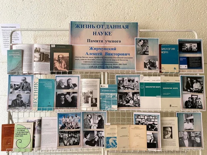 avz book exhibition 2026